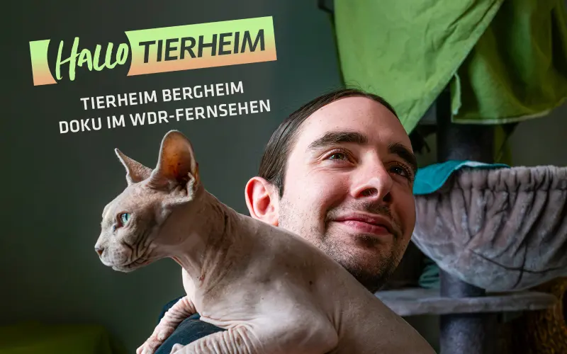 Hallo Tierheim Bild vom Tierheim-Mitarbeiter mit Katze auf der Schulter.